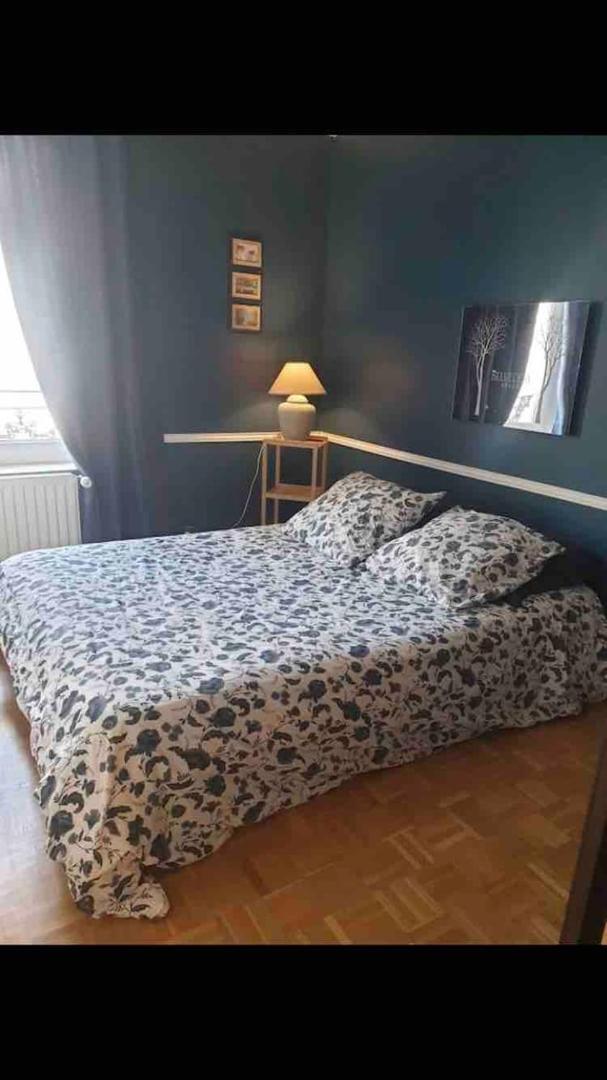 Duplex 4 Couchages Chaleureux Gare Sur Place Nogent-l'Artaud מראה חיצוני תמונה